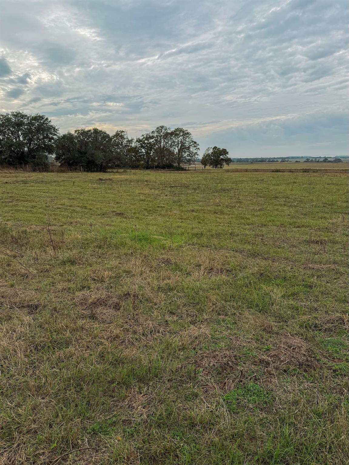 TBD Lot 13 Cardinal Rd, Rosanky, TX 78953