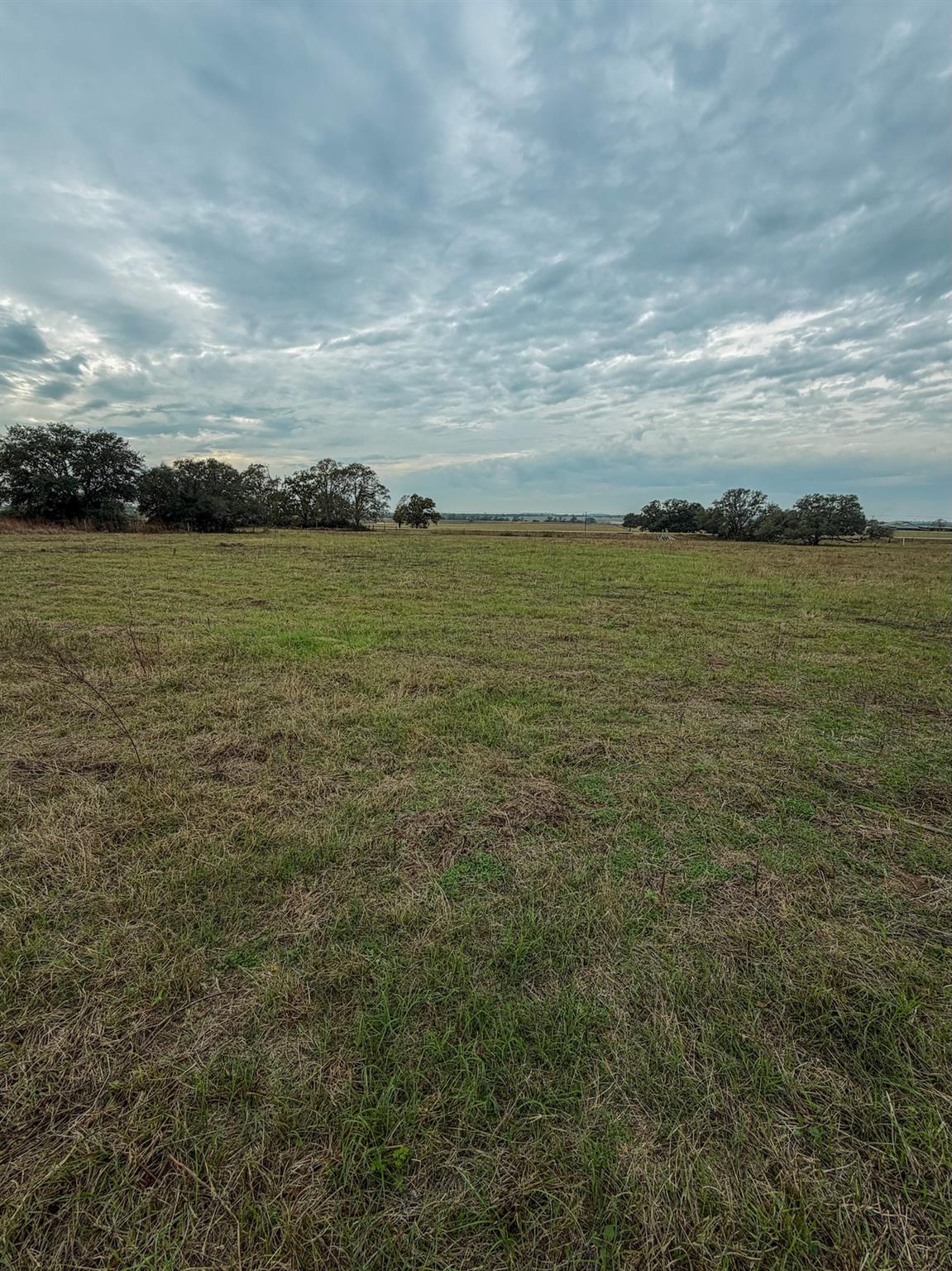 TBD Lot 13 Cardinal Rd, Rosanky, TX 78953