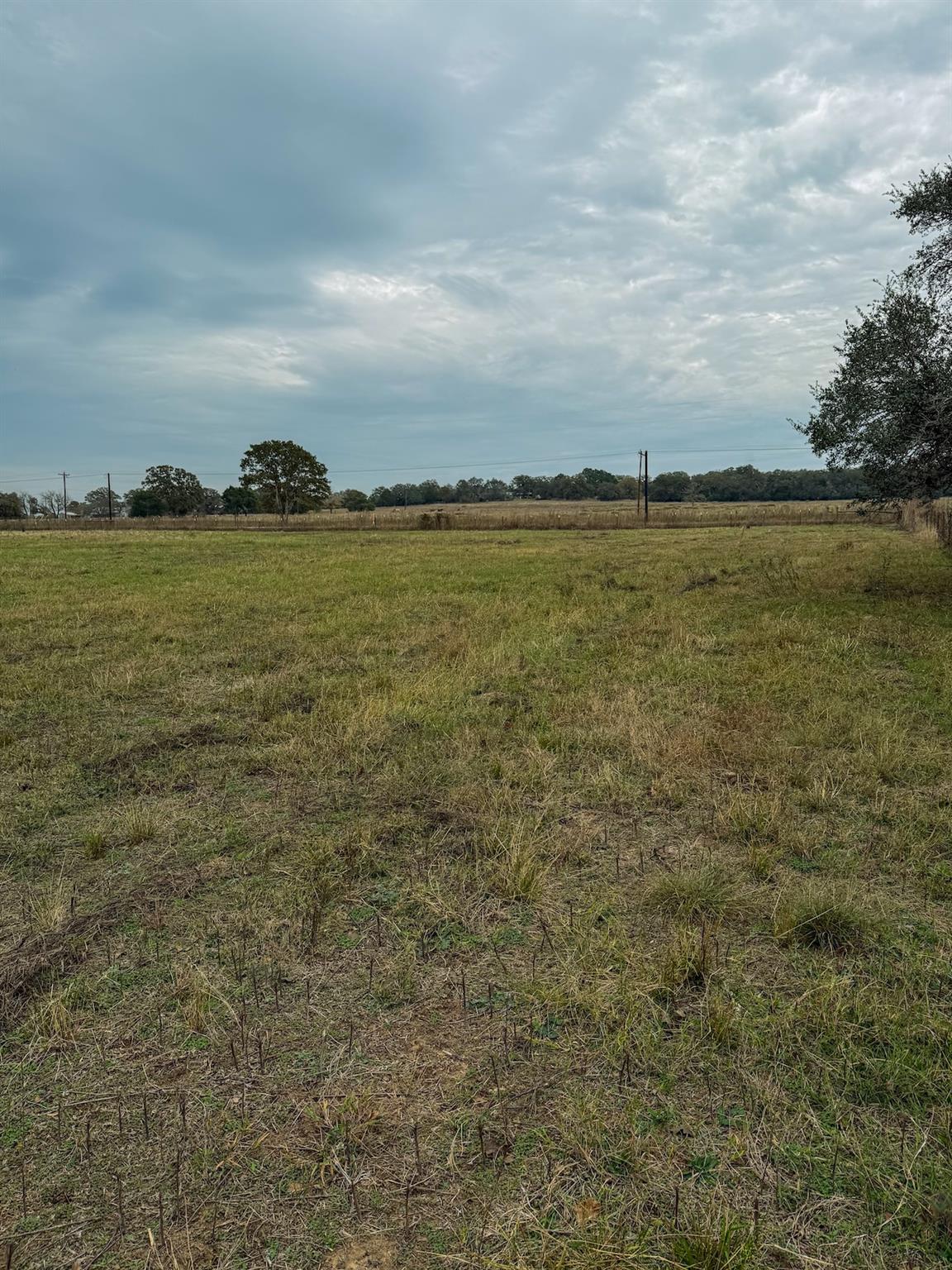 TBD Lot 13 Cardinal Rd, Rosanky, TX 78953
