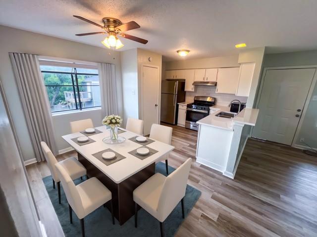 9901 Roxanna Dr # D, Austin, TX 78748