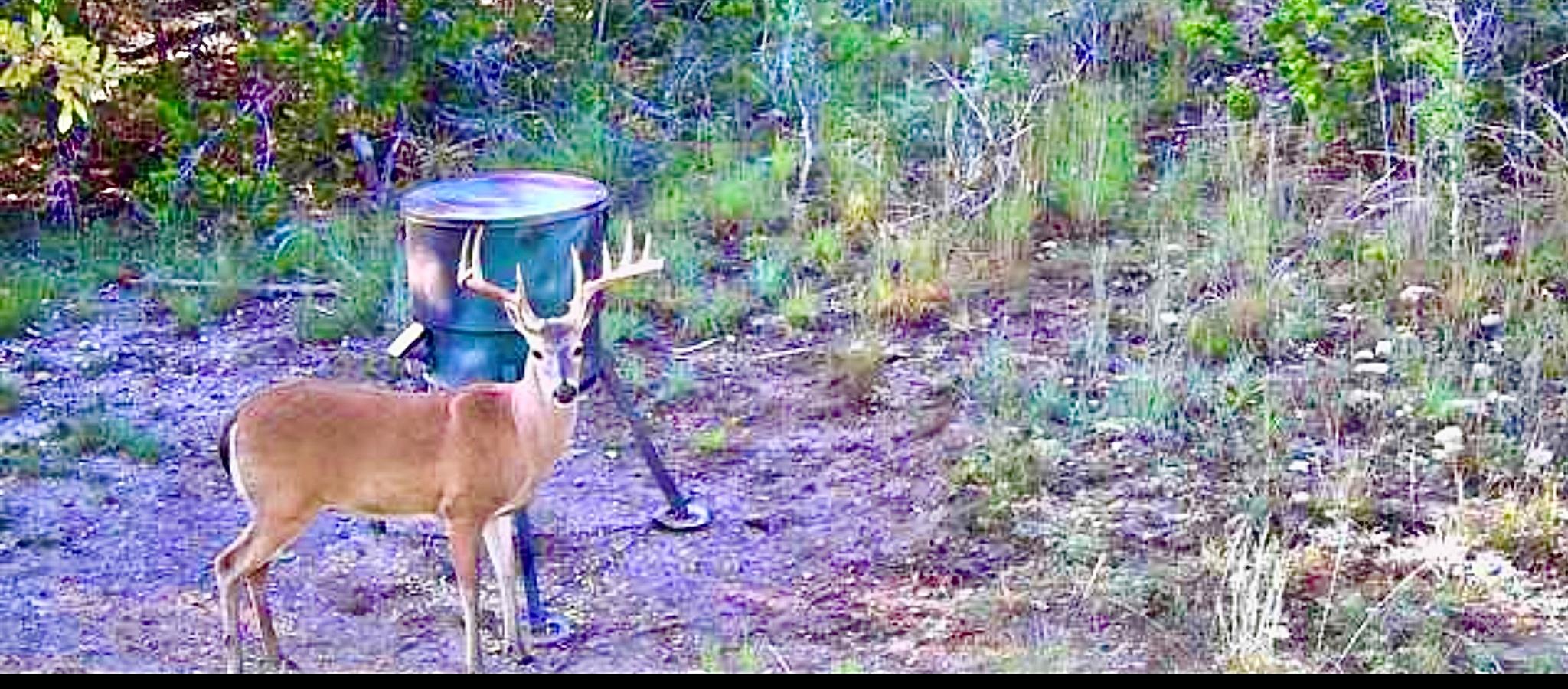 1200 Lipan Apache Run, Blanco, TX 78606