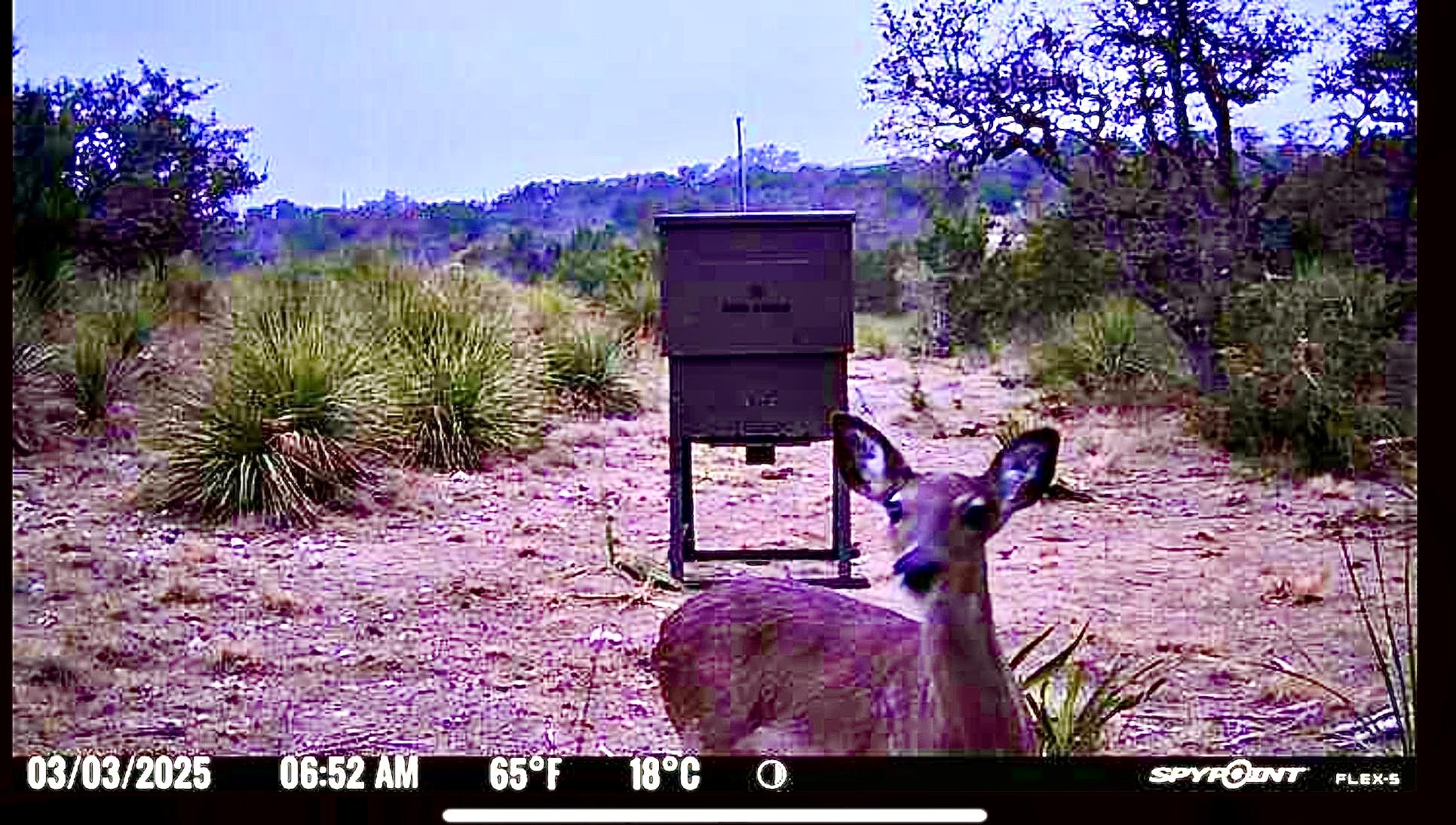 1200 Lipan Apache Run, Blanco, TX 78606