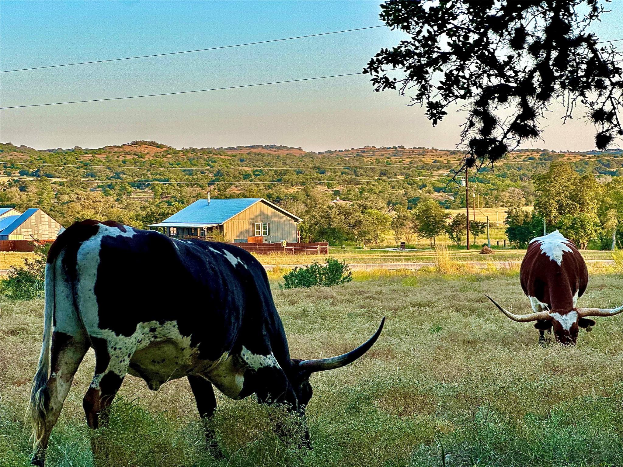 1200 Lipan Apache Run, Blanco, TX 78606