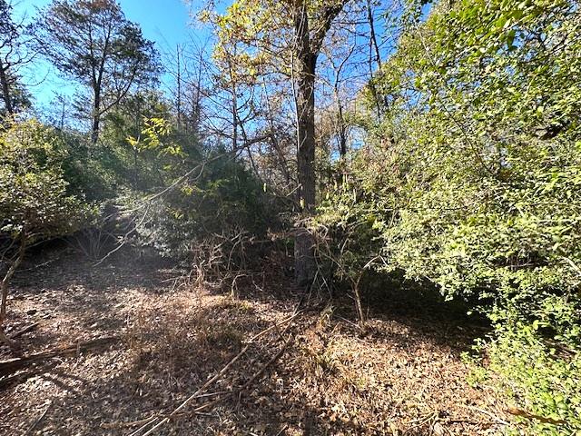 506 Tahitian Dr, Bastrop, TX 78602