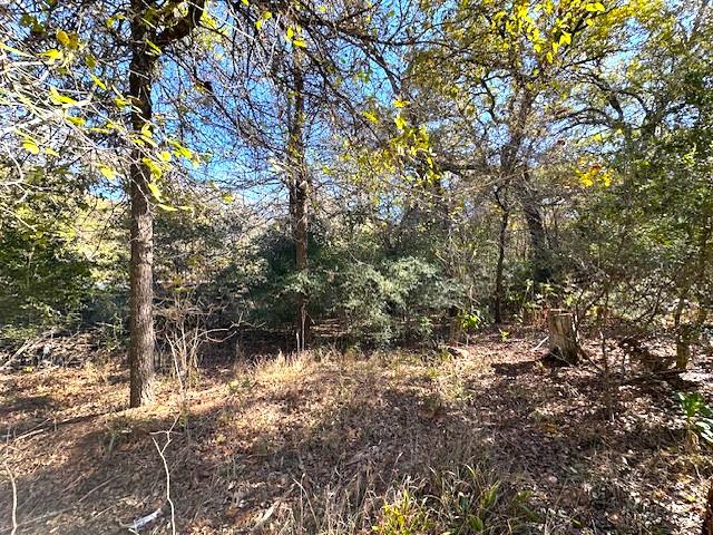 506 Tahitian Dr, Bastrop, TX 78602