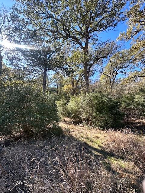 506 Tahitian Dr, Bastrop, TX 78602