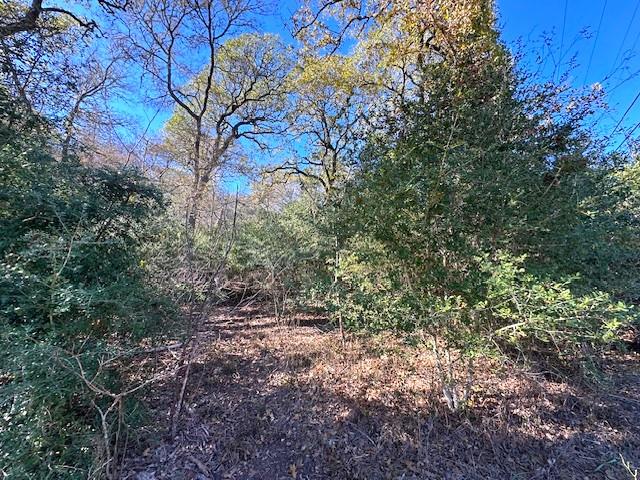 506 Tahitian Dr, Bastrop, TX 78602