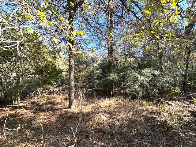 506 Tahitian Dr, Bastrop, TX 78602