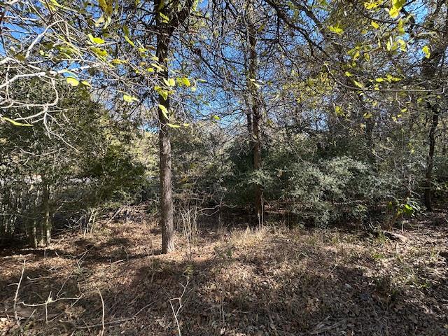 506 Tahitian Dr, Bastrop, TX 78602