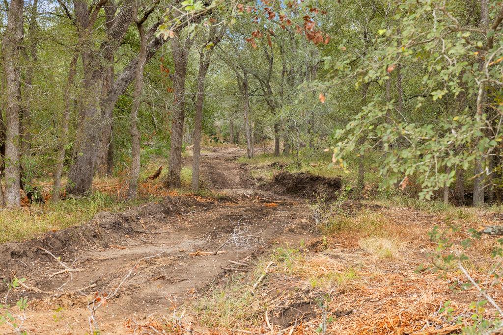 TBD - 11 CR 171, Nixon, TX 78140