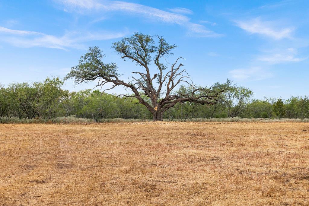 TBD - 11 CR 171, Nixon, TX 78140