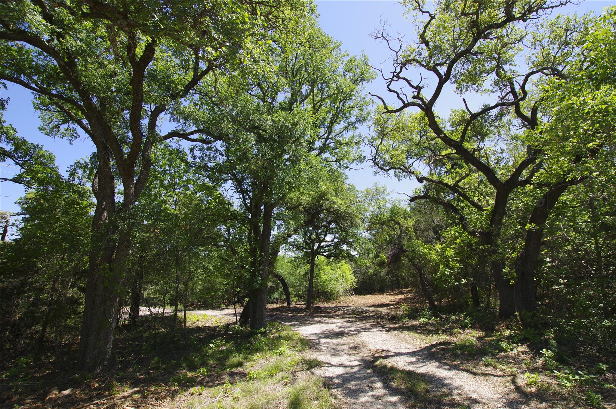 22007 Nameless Rd, Leander, TX 78641