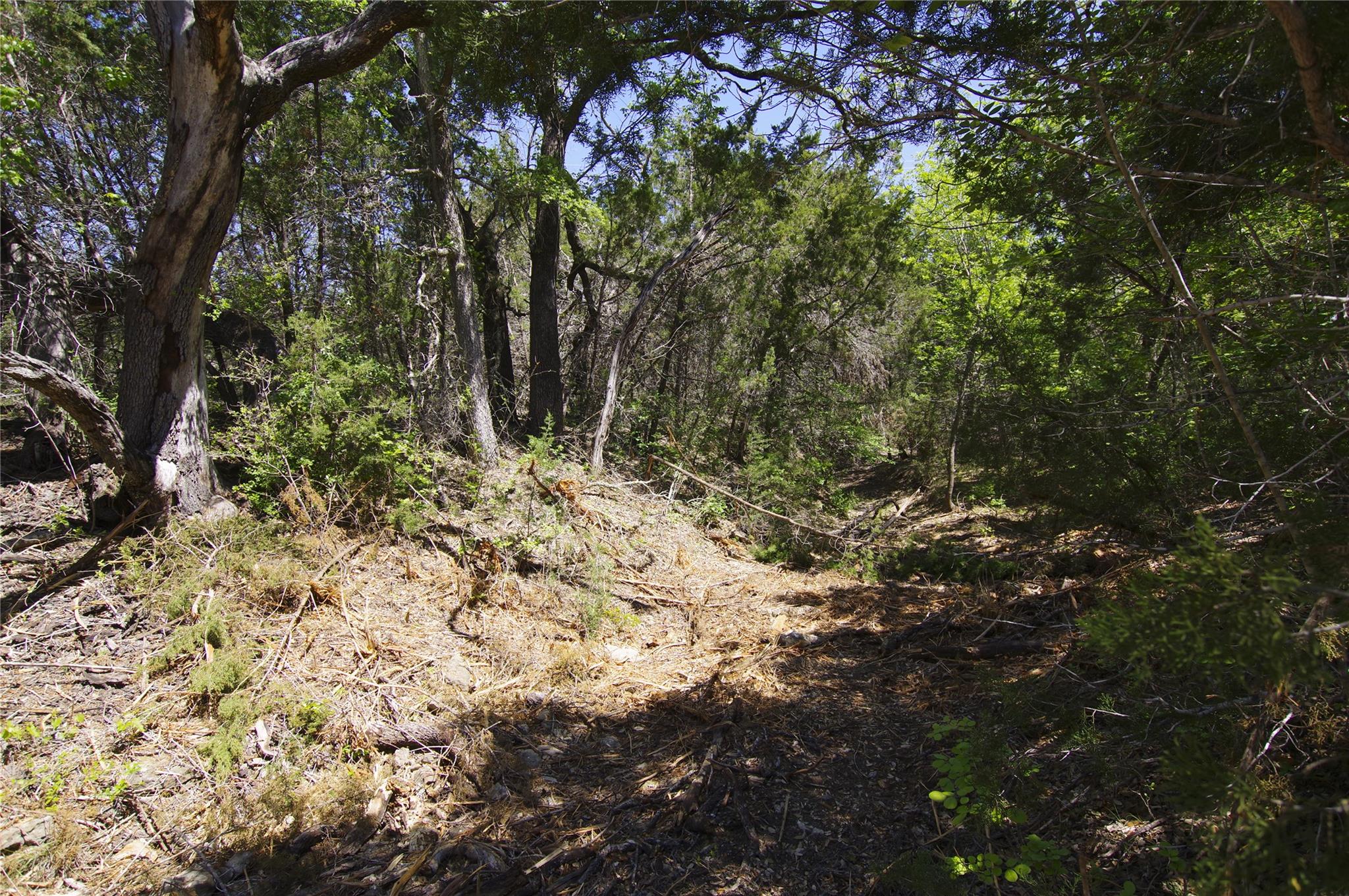 22007 Nameless Rd, Leander, TX 78641