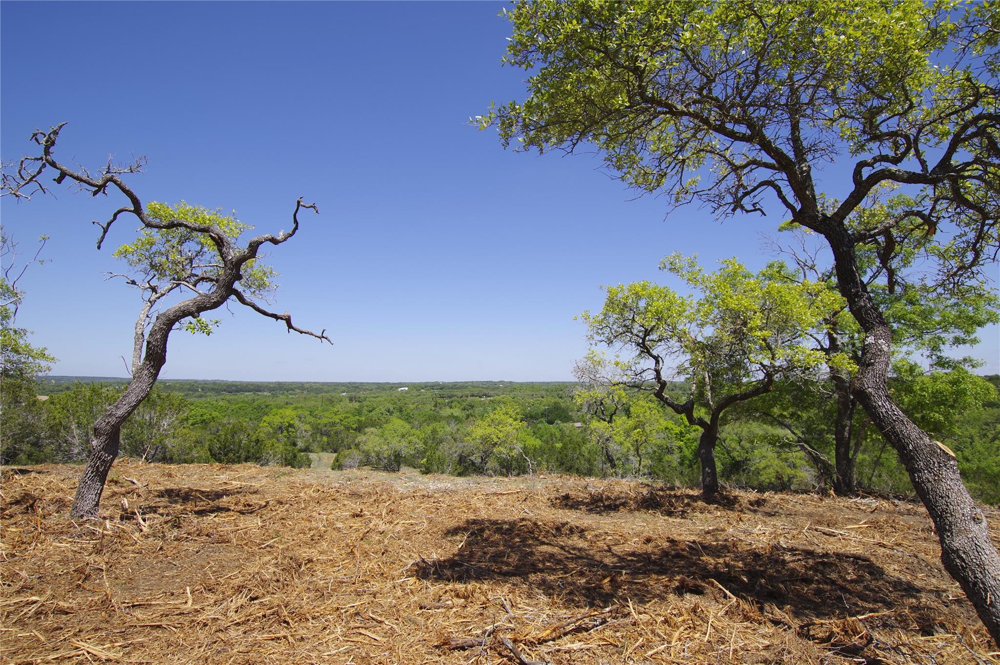 22007 Nameless Rd, Leander, TX 78641