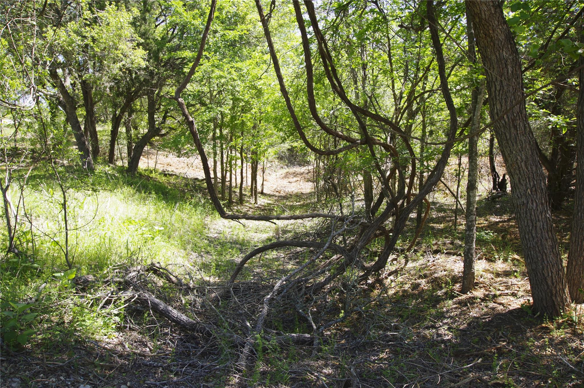 22007 Nameless Rd, Leander, TX 78641