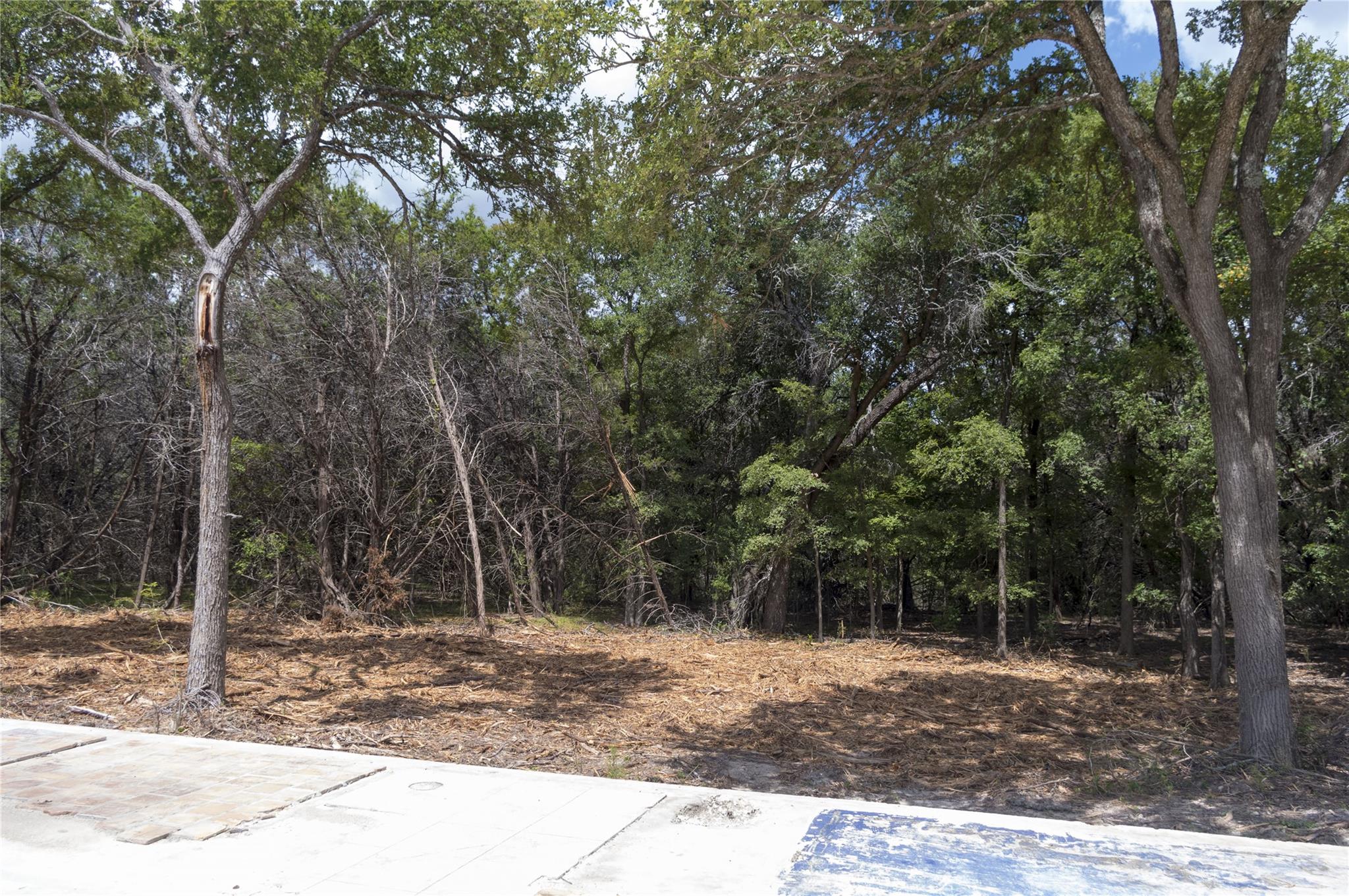 22007 Nameless Rd, Leander, TX 78641