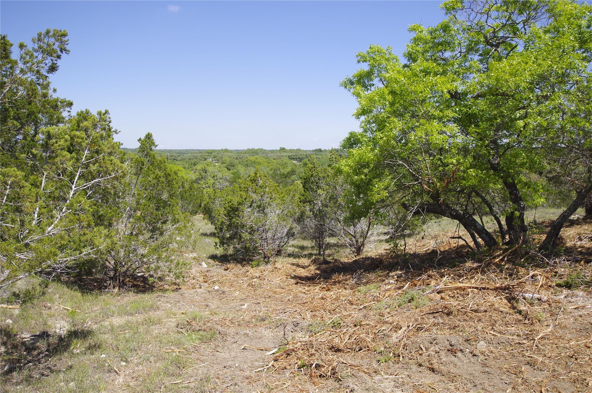 22007 Nameless Rd, Leander, TX 78641