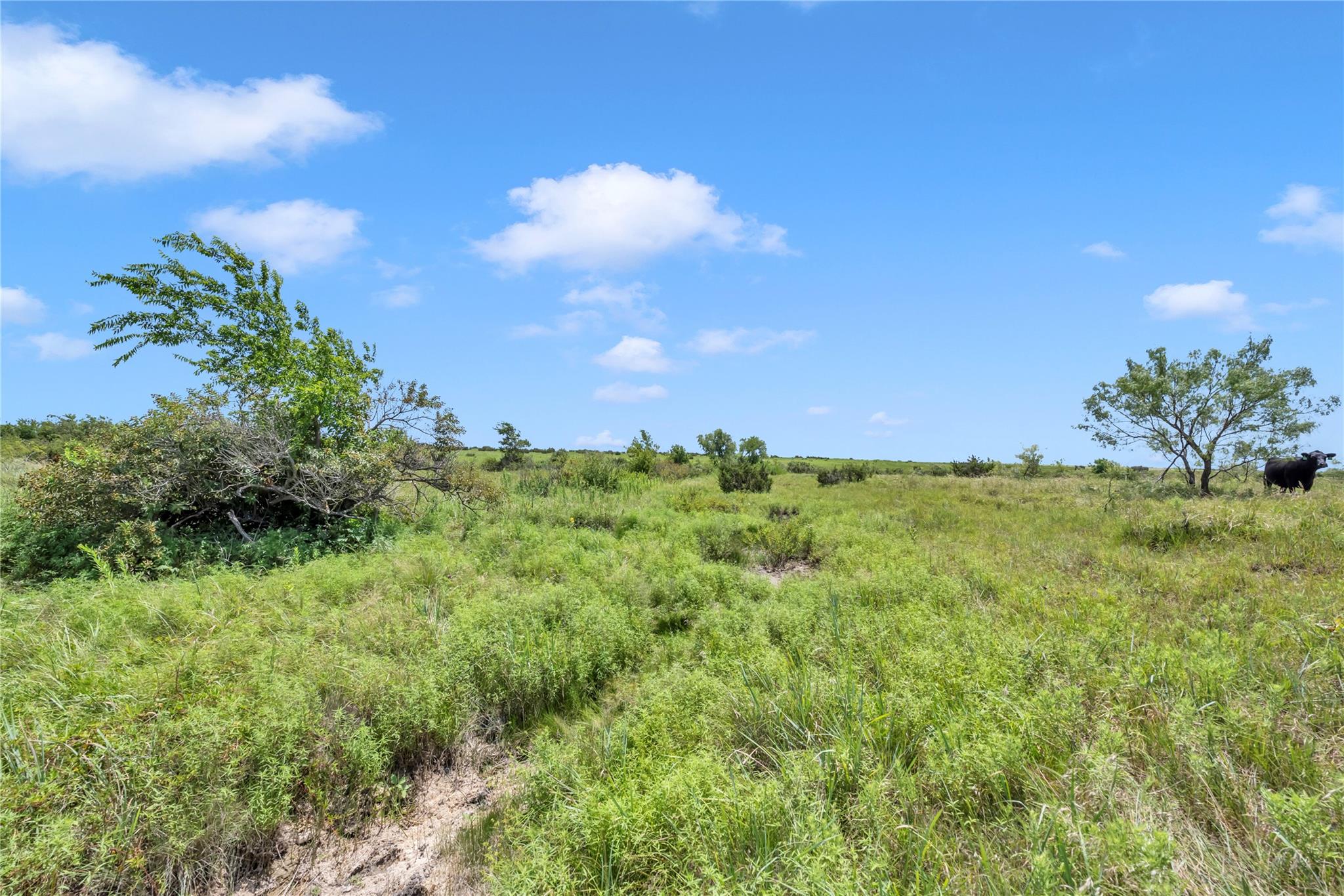 11064 County Road 210 Rd, Bertram, TX 78605