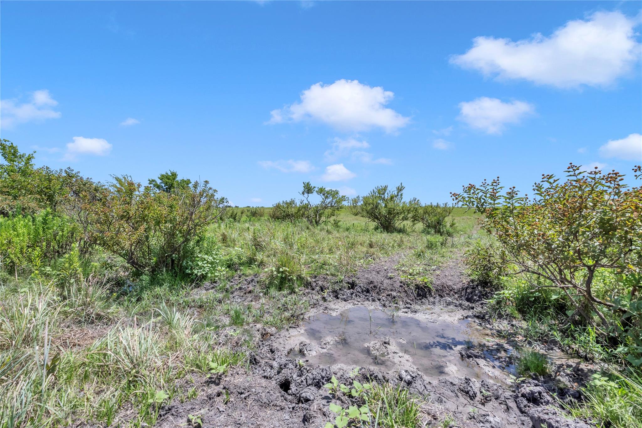 11064 County Road 210 Rd, Bertram, TX 78605