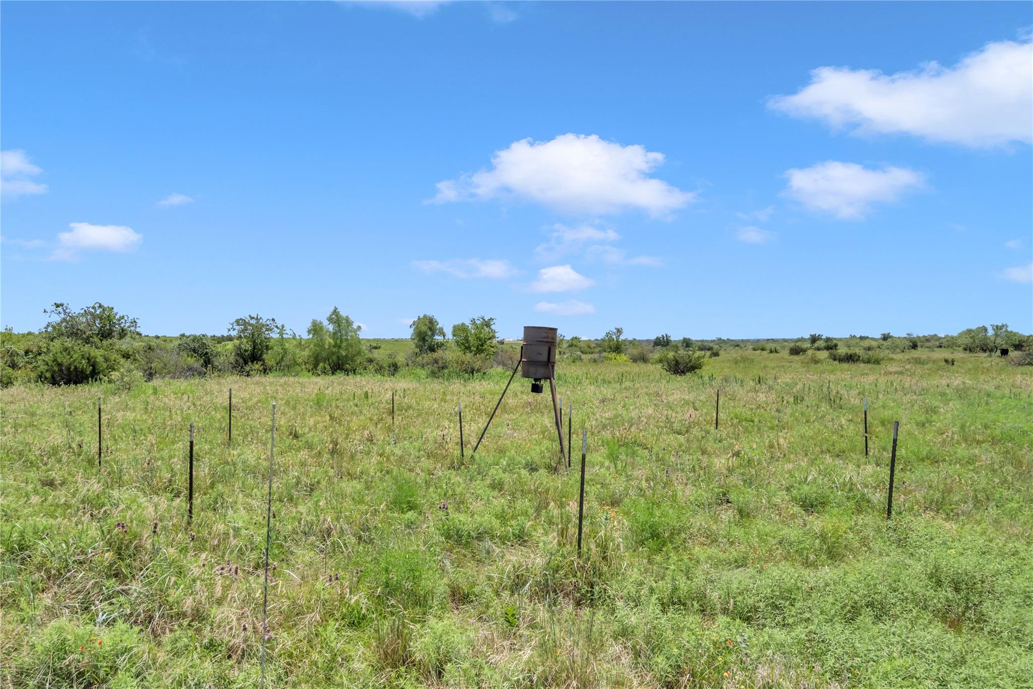 11064 County Road 210 Rd, Bertram, TX 78605
