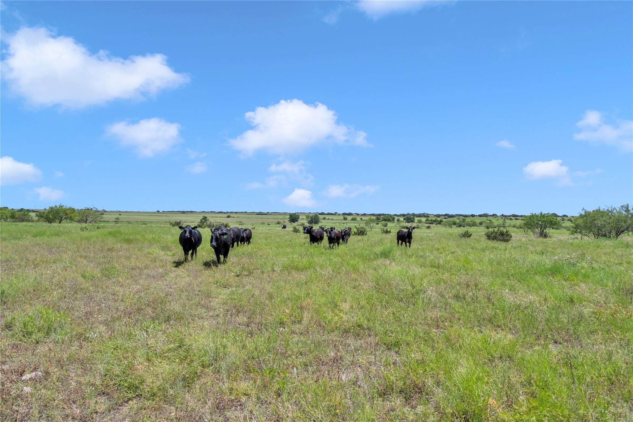 11064 County Road 210 Rd, Bertram, TX 78605
