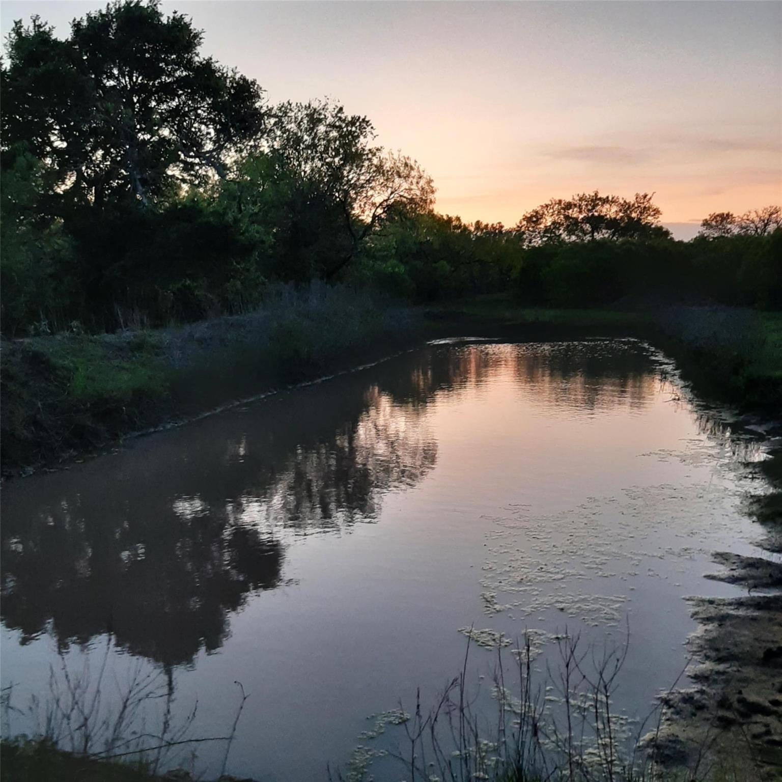 3160 Pettytown Rd, Dale, TX 78616