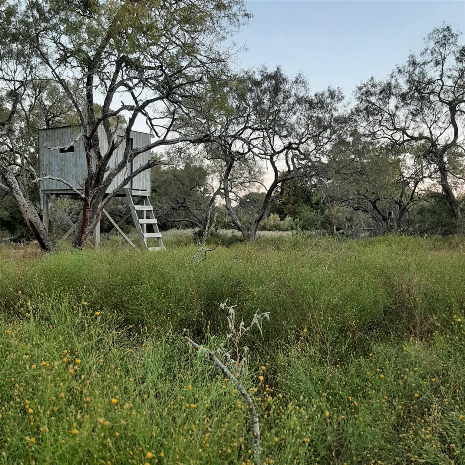 3160 Pettytown Rd, Dale, TX 78616