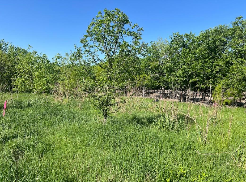 W Brook St(Lot #2, Bk 72) W Brook St, Bartlett, TX 76511