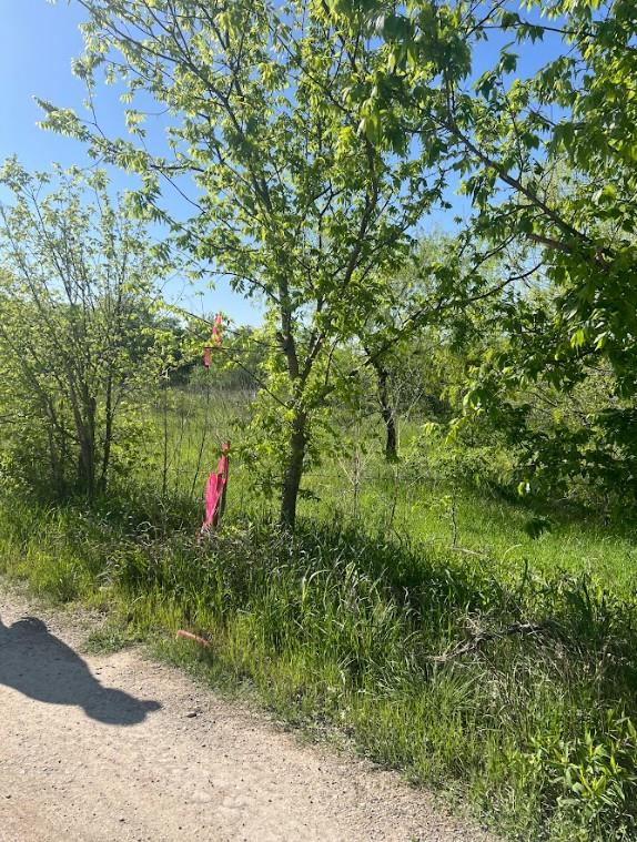 W Brook St(Lot #2, Bk 72) W Brook St, Bartlett, TX 76511