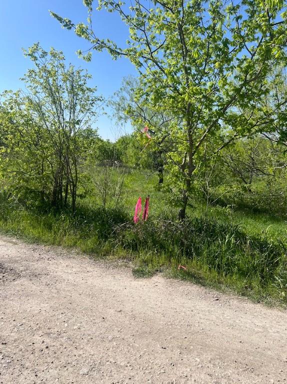 W Brook St(Lot #2, Bk 72) W Brook St, Bartlett, TX 76511