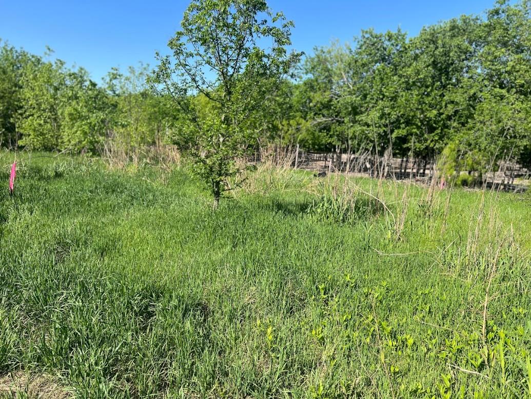 W Brook St(Lot #2, Bk 72) W Brook St, Bartlett, TX 76511