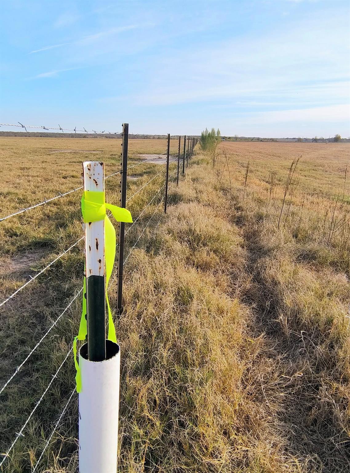 3001 Dolphin Dr, Coupland, TX 78615