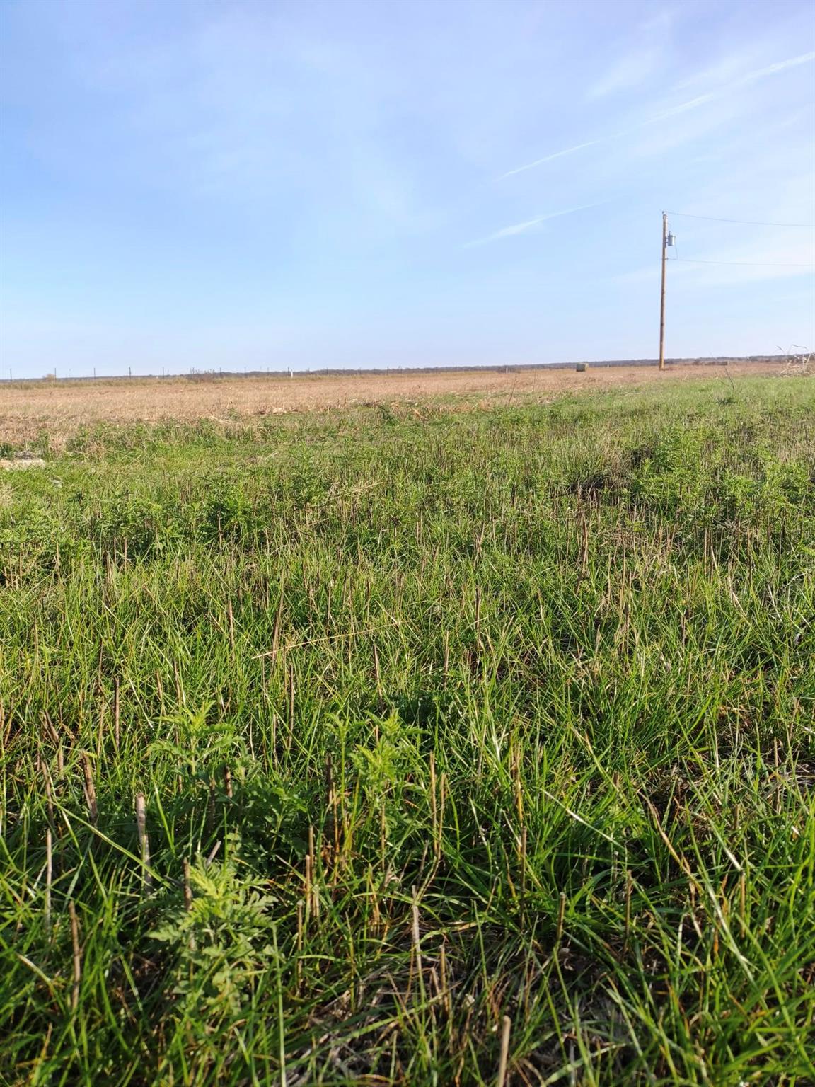 3001 Dolphin Dr, Coupland, TX 78615