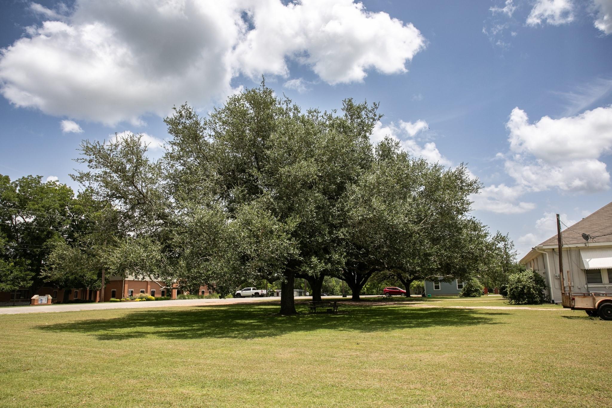 515 N Colorado St, Burton, TX 77835