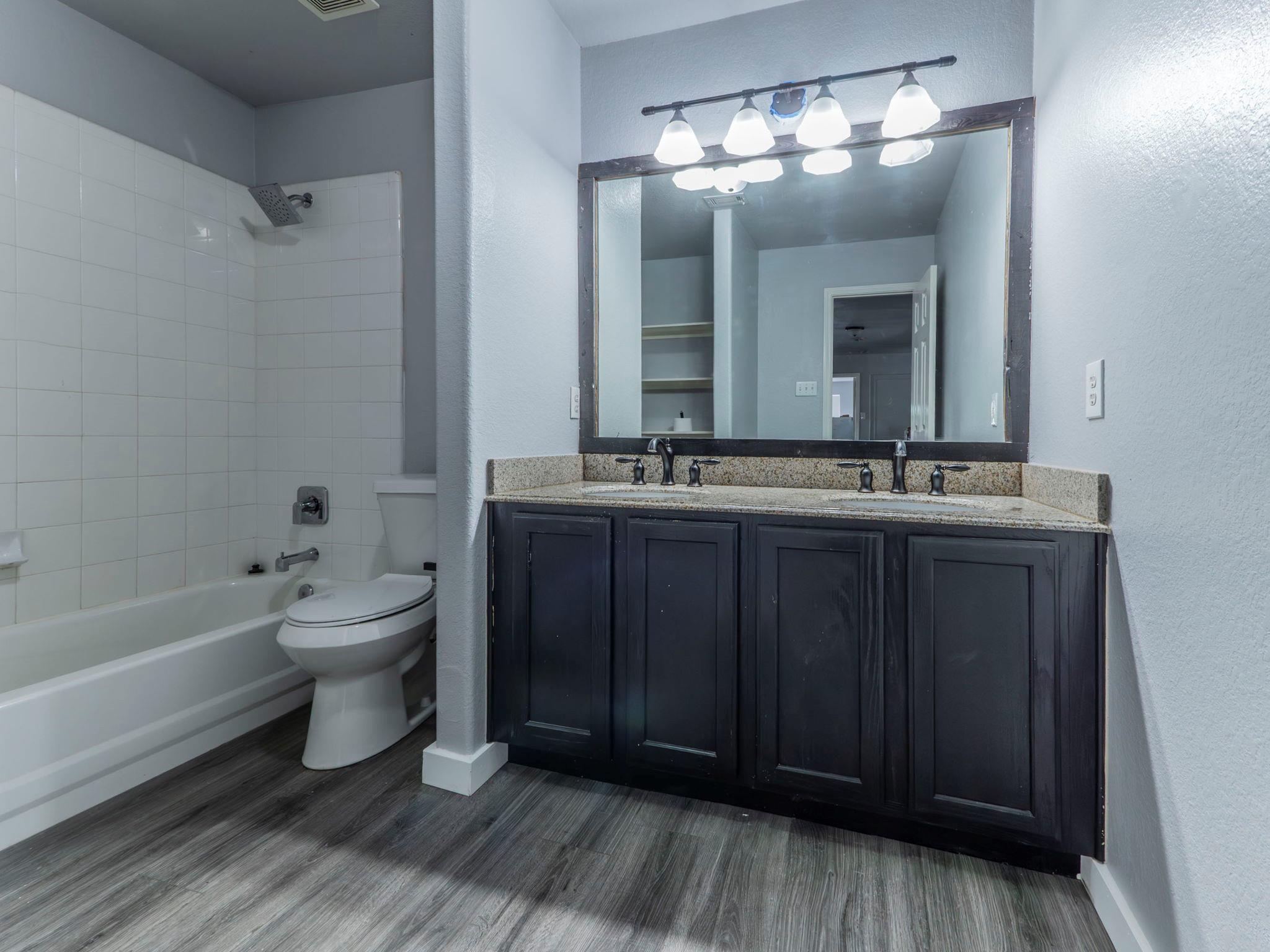 924 Satellite Vw, Round Rock, TX 78665