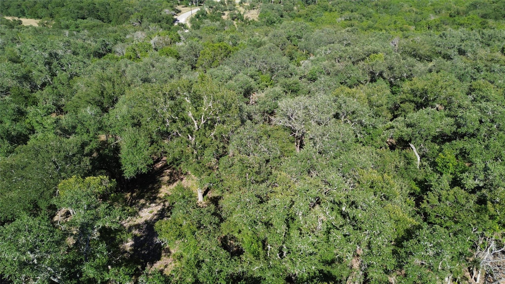 1918 (Lot 8) Woodford Ct, Salado, TX 76571