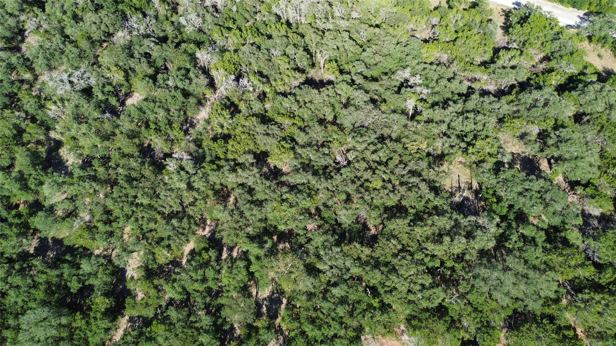 1918 (Lot 8) Woodford Ct, Salado, TX 76571