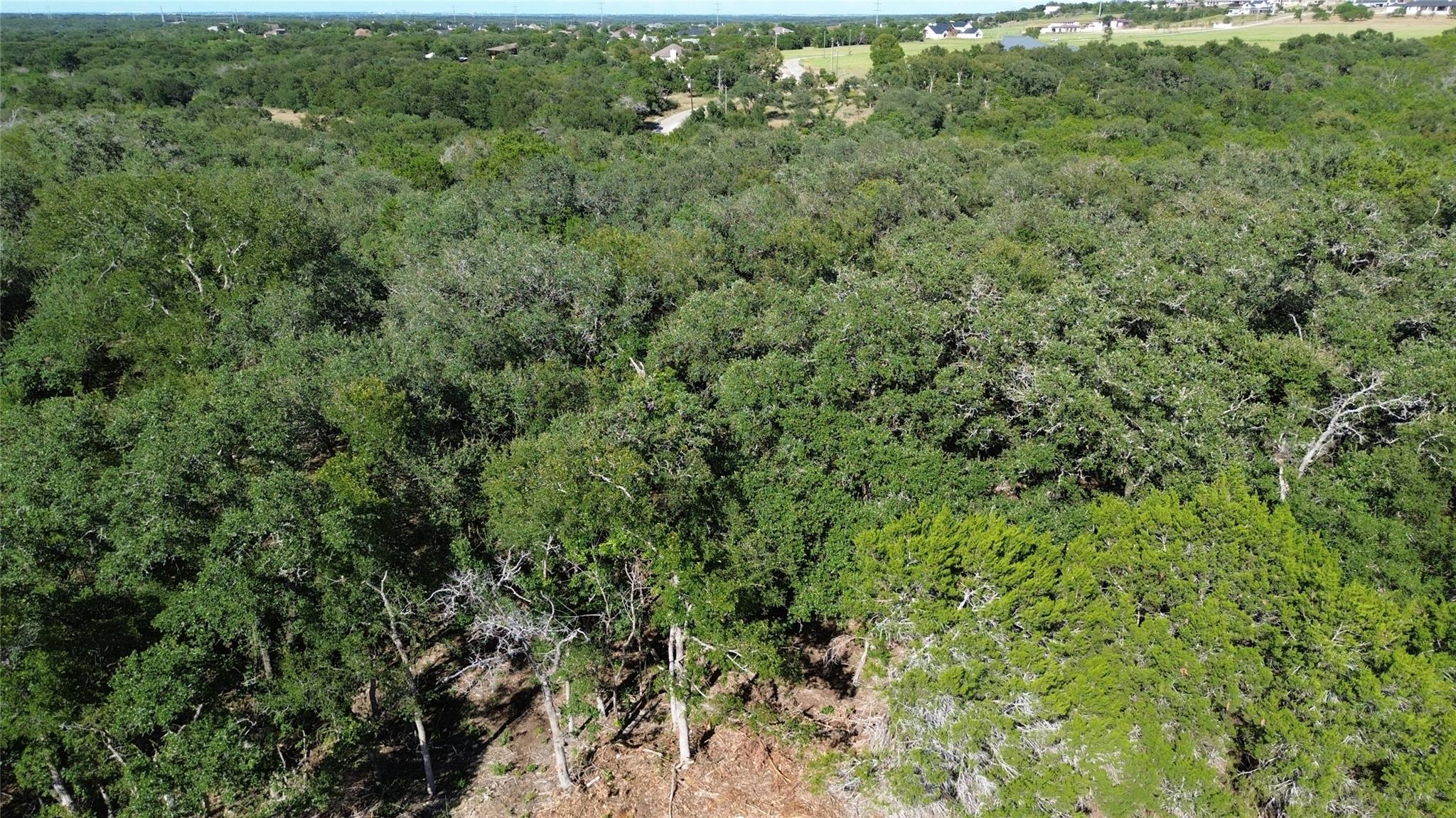 1918 (Lot 8) Woodford Ct, Salado, TX 76571