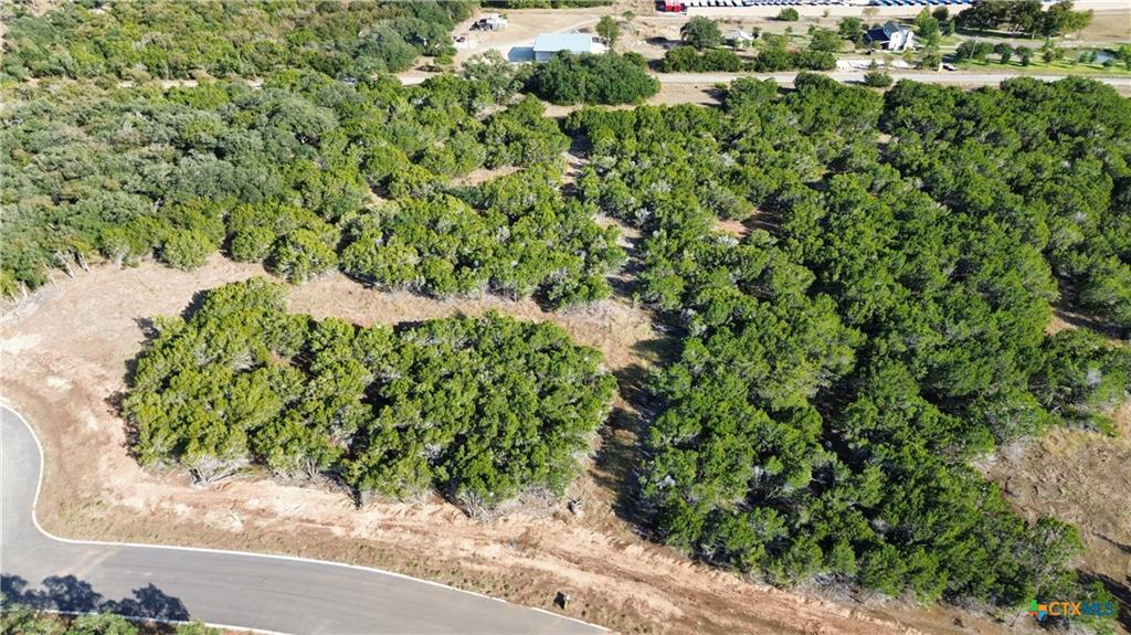 1914 (Lot 9) Woodford Ct, Salado, TX 76571