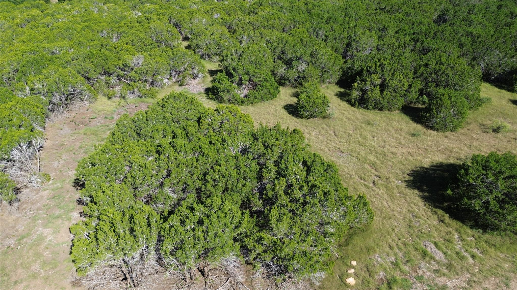 1906 (Lot 11) Woodford Ct, Salado, TX 76571