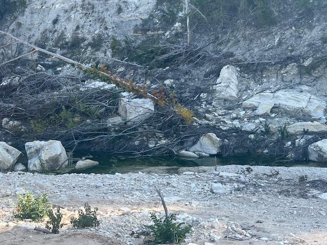 13903 Long Hollow Loop, Leander, TX 78641