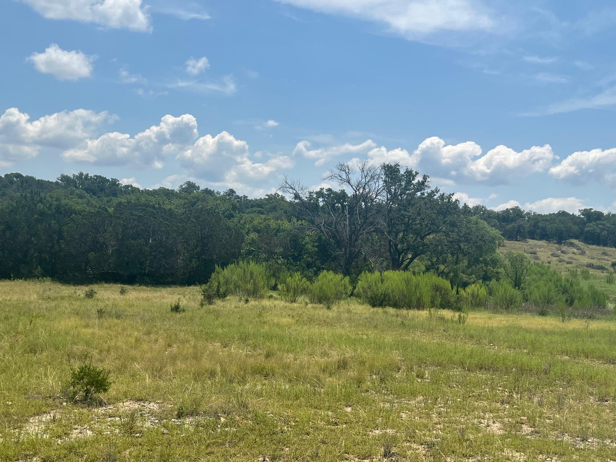 5.04 Acres Mourning Dove Ln, Lampasas, TX 76550