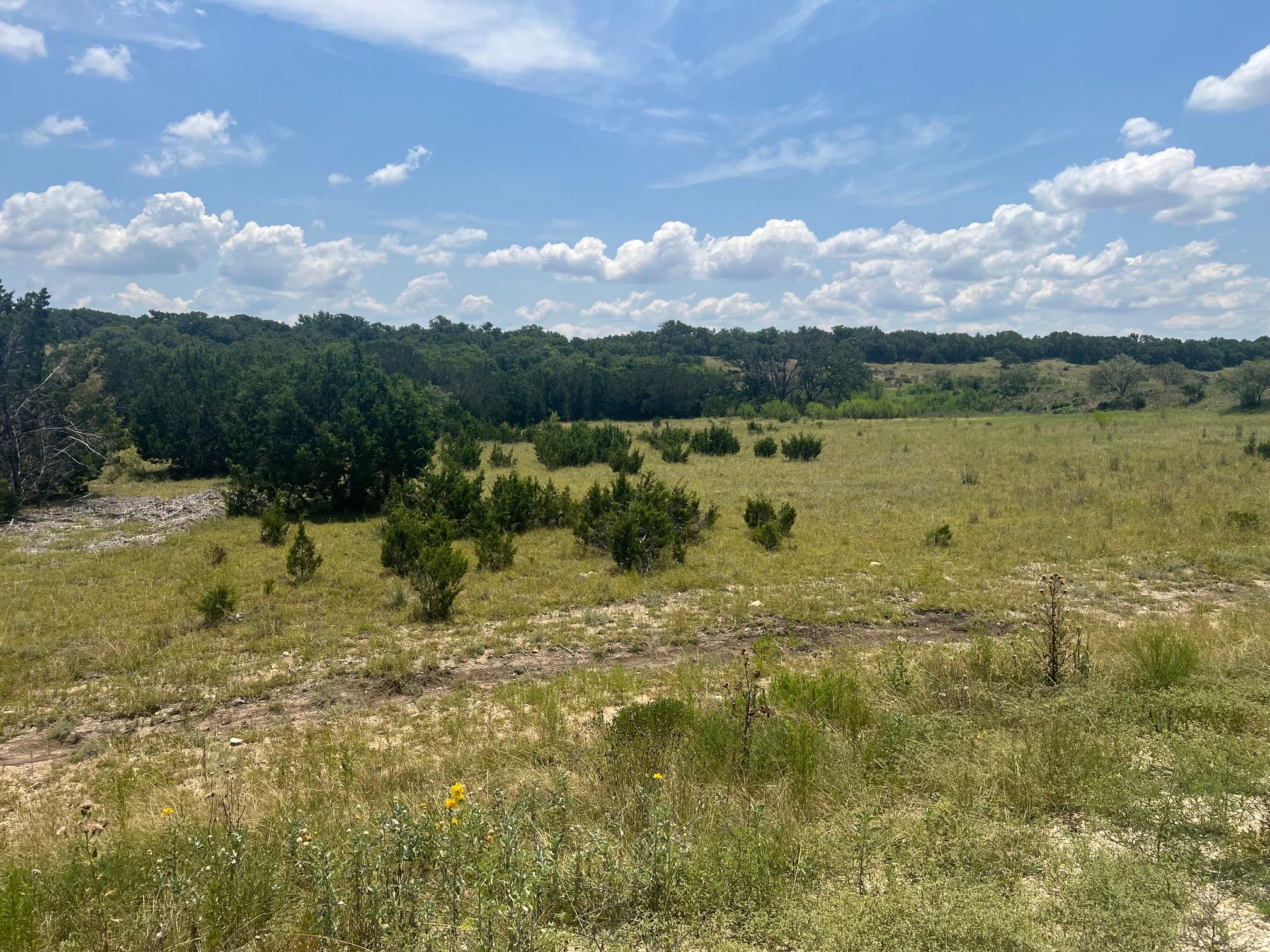 5.04  Acres Mourning Dove Ln, Lampasas, TX 76550
