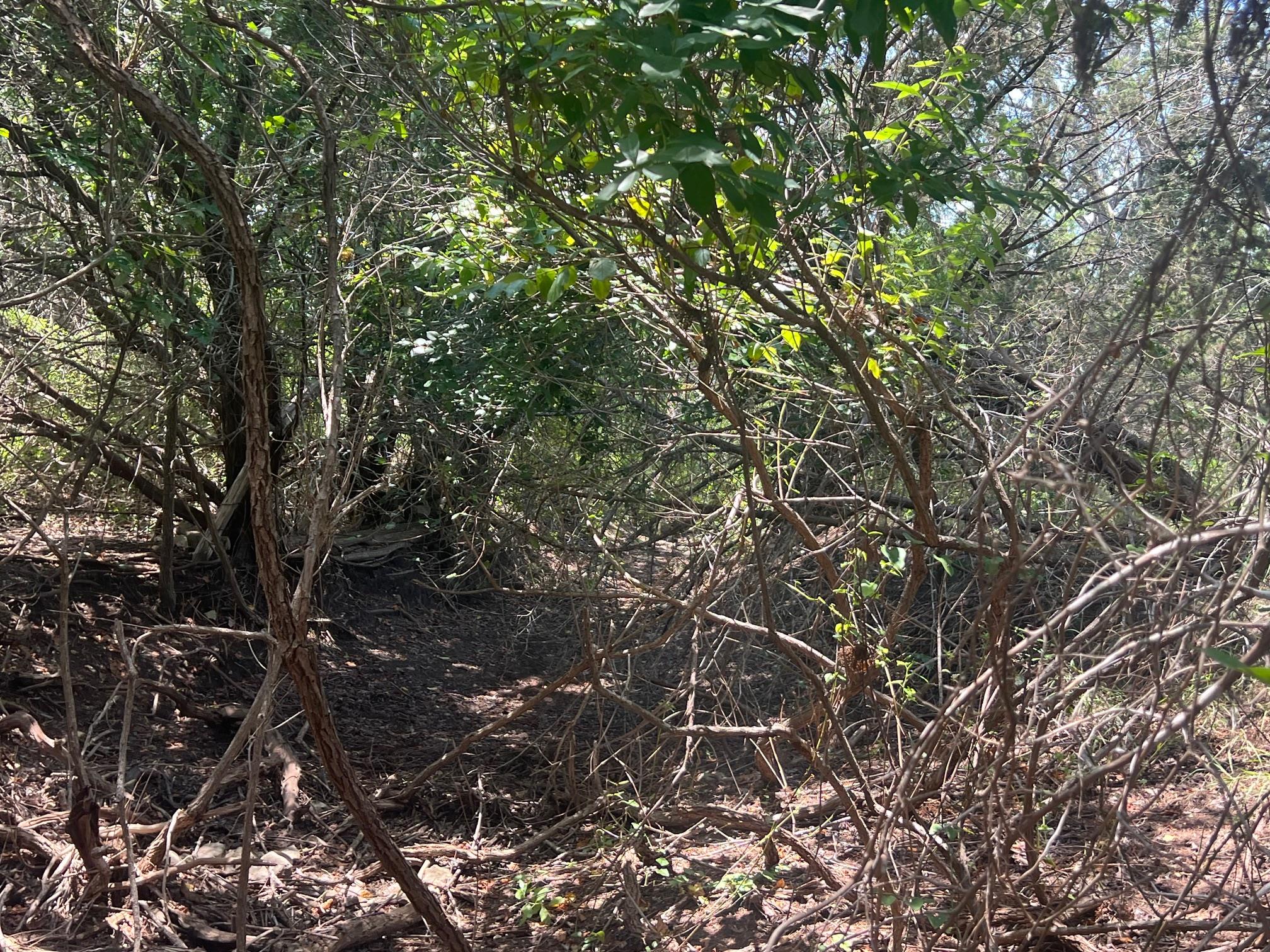 5.04 Acres Mourning Dove Ln, Lampasas, TX 76550