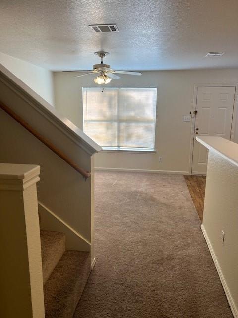 1017 Christopher Ave # B, Round Rock, TX 78681