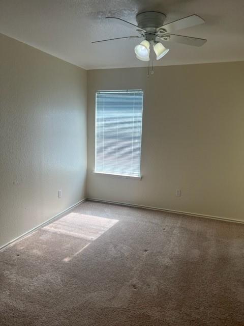 1017 Christopher Ave # B, Round Rock, TX 78681