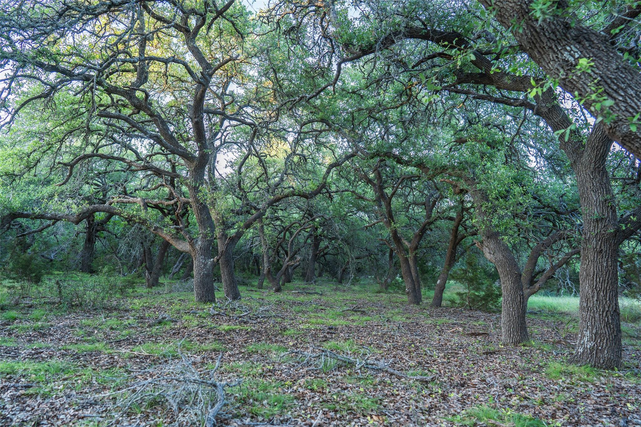 TBD Crabapple Rd, Blanco, TX 78606