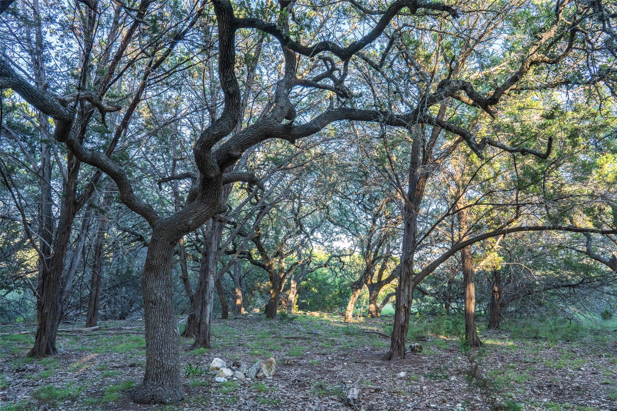 TBD Crabapple Rd, Blanco, TX 78606