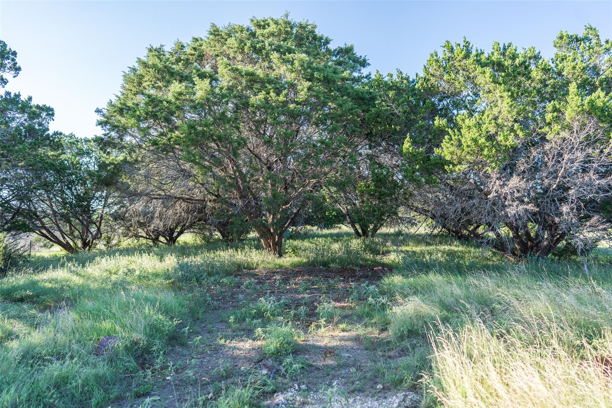 TBD Crabapple Rd, Blanco, TX 78606