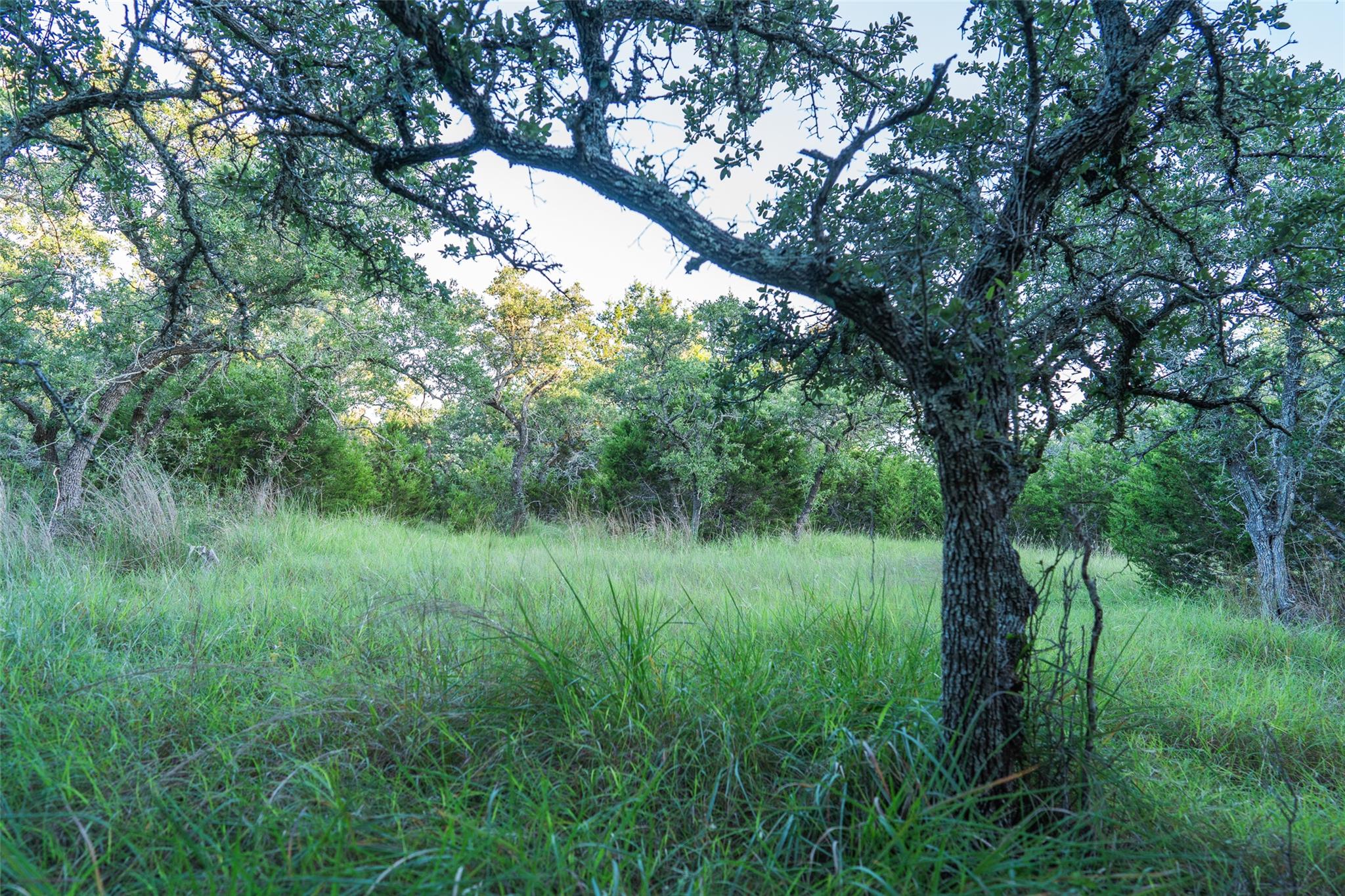 TBD Crabapple Rd, Blanco, TX 78606